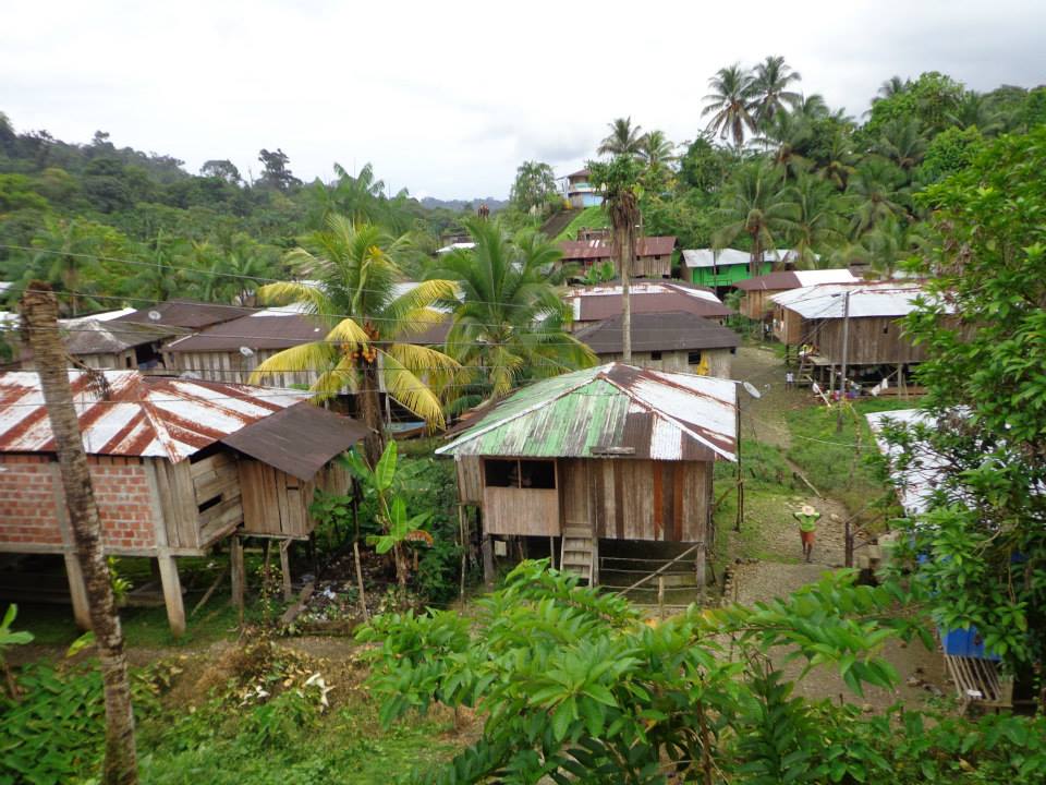 Guapi Guapi 20