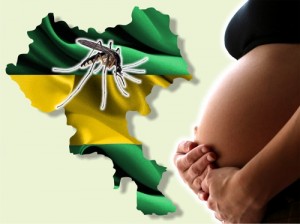 El Cauca en alerta por el virus del Zika El Cauca en alerta por el virus del Zika