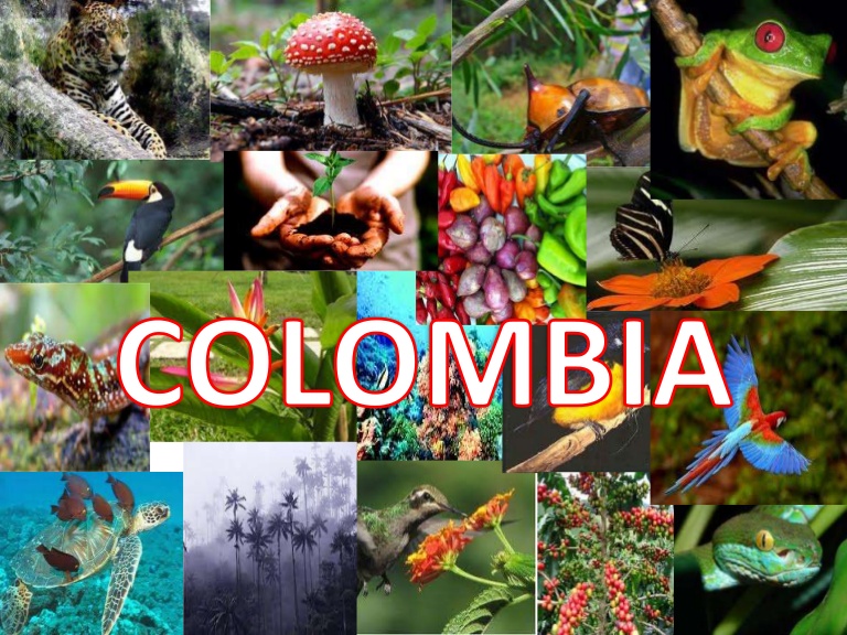 biodiversidad biodiversidad