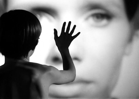 Bergman Bergman