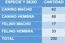 ESTERILIZACION CANINA Y FELINA EN CALOTO, CAUCA ESTERILIZACION CANINA Y FELINA EN CALOTO, CAUCA1