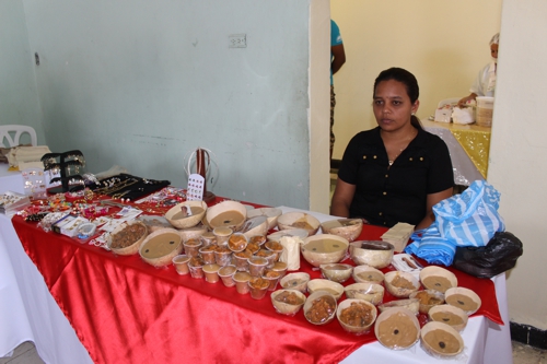 Muestra artesanal y microempresarial 2016 Muestra artesanal y microempresarial 14