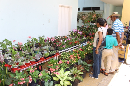 Muestra artesanal y microempresarial 2016 Muestra artesanal y microempresarial 7