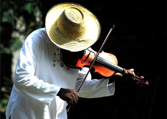 Los violines negros del Cauca Los violines negros del Cauca