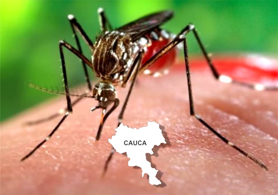 Enfermedades Transmitidas por Vectores en el Cauca - Zika en el Cauca