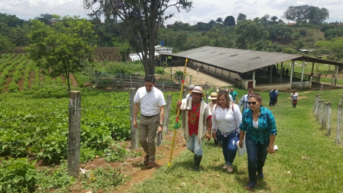 Viceministro-Feliciano