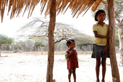 guajira guajira 3