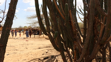 guajira guajira 4