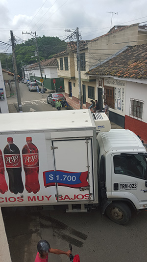 transito 6