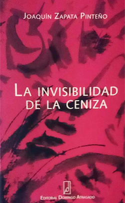 La-invisibilidad-de-la-ceniza