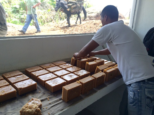 Agroindustria panelera en el Cauca - Panela Agroindustria panelera en el Cauca - Panela