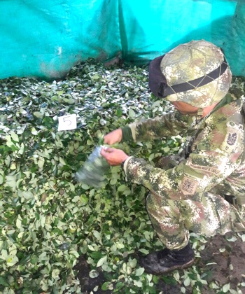 Destruyen dos laboratorios para procesamiento de coca en el Cauca