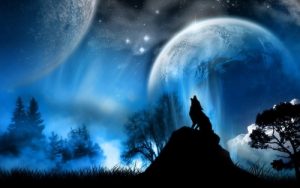 La noche La noche - Lobo