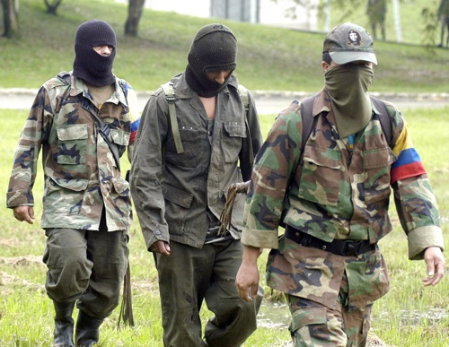 Las Farc en el Cauca Las Farc en el Cauca