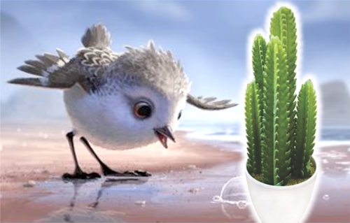 Piper y Alonsita