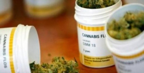 cannabis 2