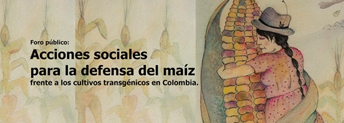 Foro maiz