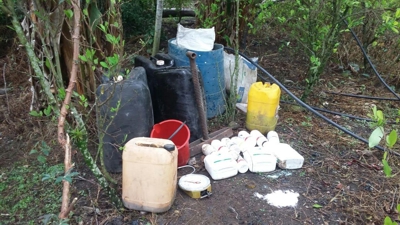 Destruyen laboratorio de coca en Almaguer, Cauca