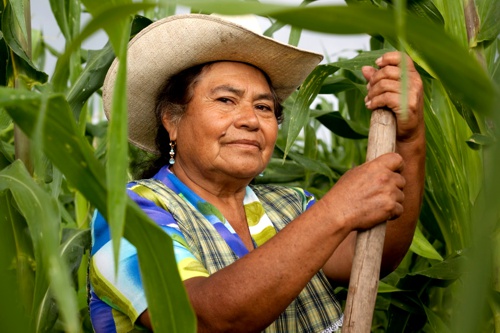Mujer rural Cauca Mujer rural Cauca
