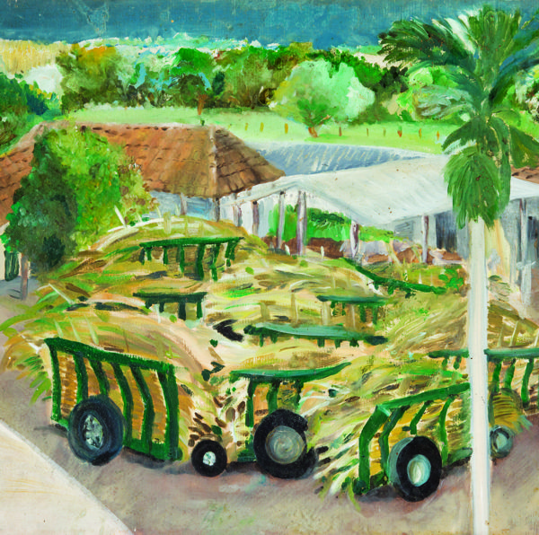 el-corozal-trapiche-enero el-corozal-trapiche-enero