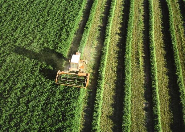 agro-brasil