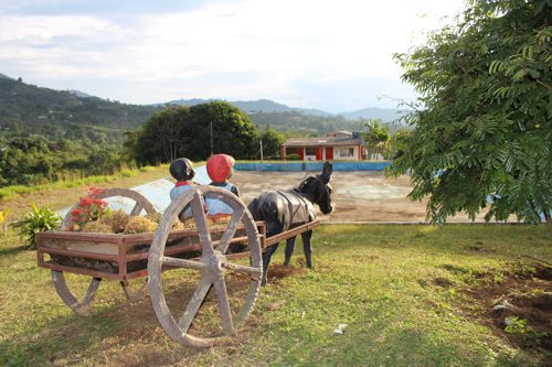 secretaria-de-salud-del-cauca-hospital-francisco-de-paula-santander secretaria-de-salud-del-cauca-hospital-francisco-de-paula-santander-5