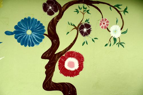 Comité Académico de Villa Rica en Paz