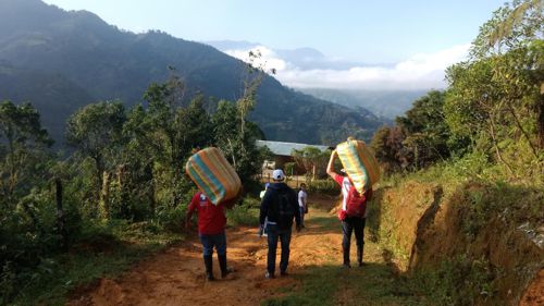 brote de Leishmaniasis en La Vega