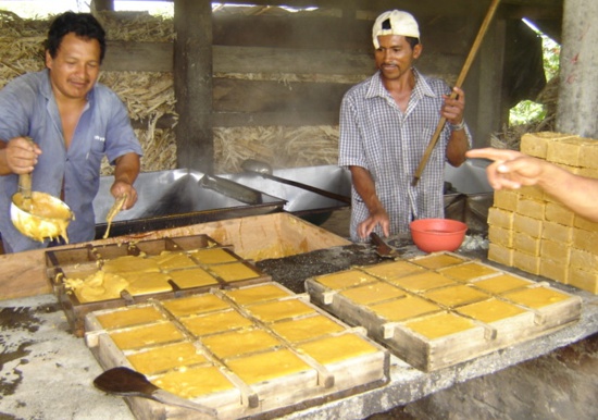 En el Cauca se produce panela de calidad En el Cauca se produce panela de calidad
