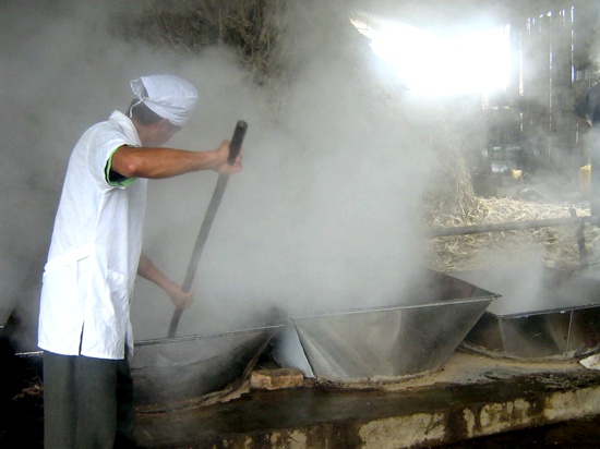 En el Cauca se produce panela de calidad En el Cauca se produce panela de calidad