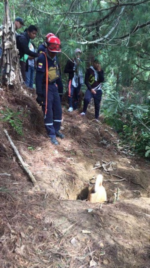 Encuentran cuerpos sin vida de menores desaparecidos