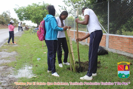 Proteger el medio ambiente es vital en Caloto Proteger el medio ambiente es vital en Caloto
