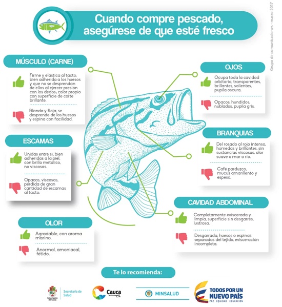 Recomendaciones para el consumo de pescado en Semana Santa en el Cauca