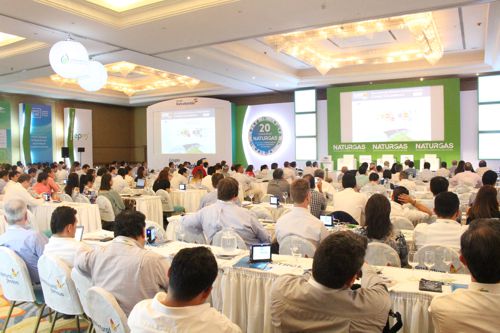 XX Congreso de Naturgas XX Congreso de Naturgas