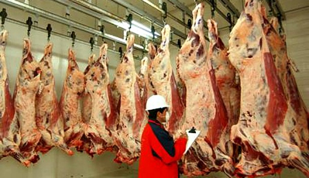 carne bovina