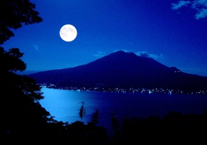 Noche Iluminada