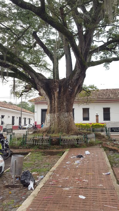 Ojo al parque