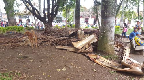 Ojo al parque