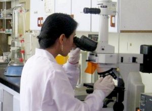 Estudiante de Unicauca encuentra bacterias que eliminan cianuro del agua