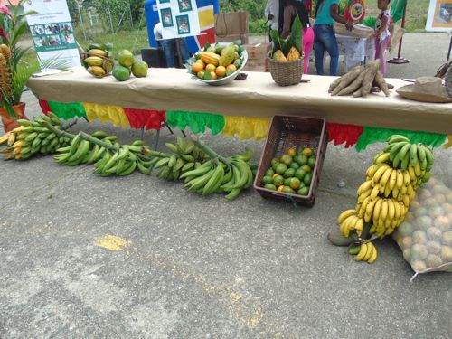 Día del Campesino en Villa Rica