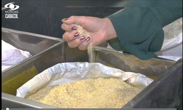 productos del campo