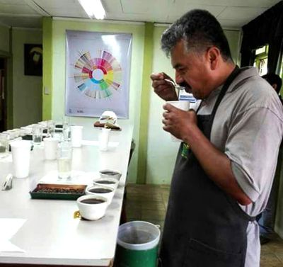 Experiencia-Costa-Rica-Catando-las-tazas.