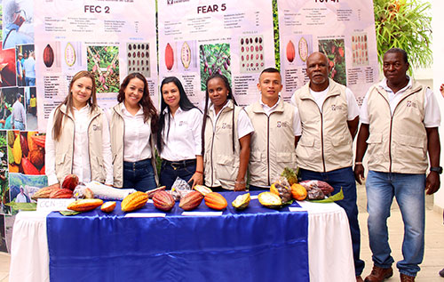lanzamiento de proyectos 