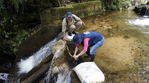 abastecimiento de Agua abastecimiento de Agua