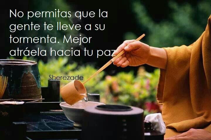 Reflexiones sobre la paz y el buen trato