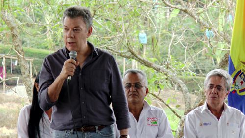 "Imposible hablar de paz sin sustitución de cultivos"