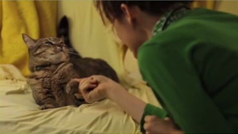 CHATTY CATTIES (2016)