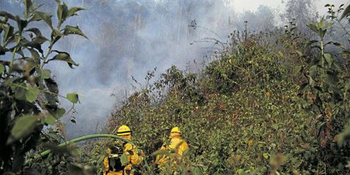 Quilichao ya cuenta con bomberos especializados en incendios forestales Quilichao ya cuenta con bomberos especializados en incendios forestales