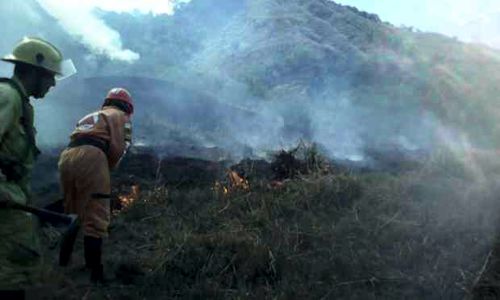 Quilichao ya cuenta con bomberos especializados en incendios forestales
