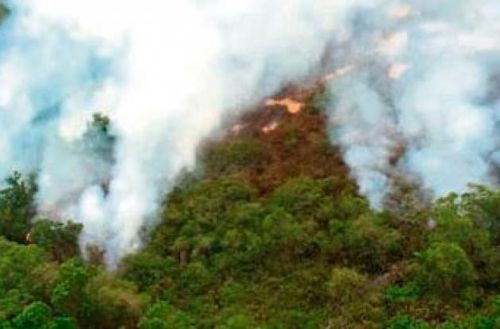 Quilichao ya cuenta con bomberos especializados en incendios forestales